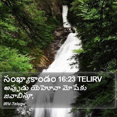 సంఖ్యాకాండం 16:23 TELIRV Bible Verse Image