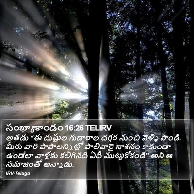 సంఖ్యాకాండం 16:26 TELIRV Bible Verse Image