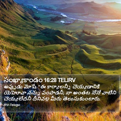సంఖ్యాకాండం 16:28 TELIRV Bible Verse Image