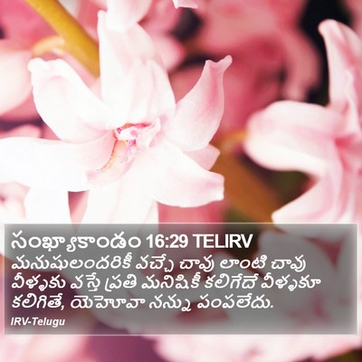 సంఖ్యాకాండం 16:29 TELIRV Bible Verse Image