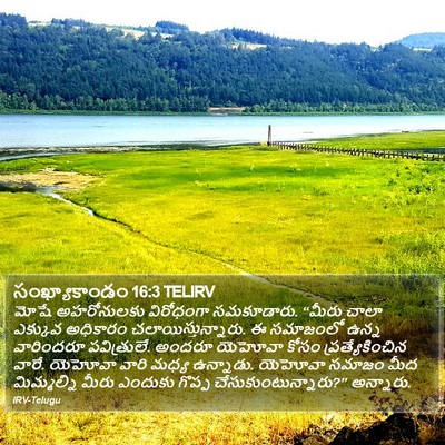 సంఖ్యాకాండం 16:3 TELIRV Bible Verse Image