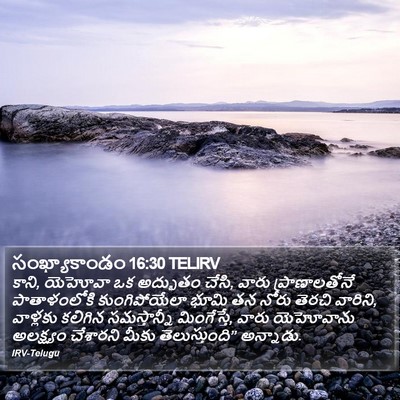 సంఖ్యాకాండం 16:30 TELIRV Bible Verse Image