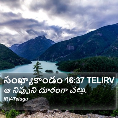 సంఖ్యాకాండం 16:37 TELIRV Bible Verse Image