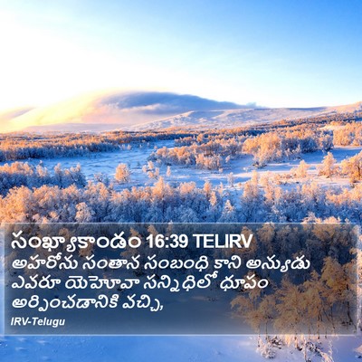 సంఖ్యాకాండం 16:39 TELIRV Bible Verse Image