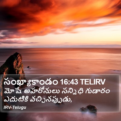 సంఖ్యాకాండం 16:43 TELIRV Bible Verse Image