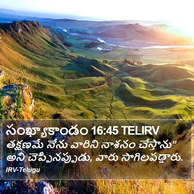 సంఖ్యాకాండం 16:45 TELIRV Bible Verse Image