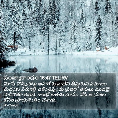 సంఖ్యాకాండం 16:47 TELIRV Bible Verse Image
