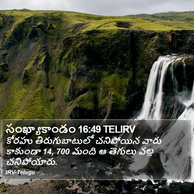 సంఖ్యాకాండం 16:49 TELIRV Bible Verse Image
