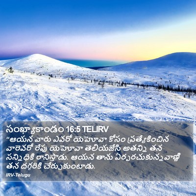 సంఖ్యాకాండం 16:5 TELIRV Bible Verse Image