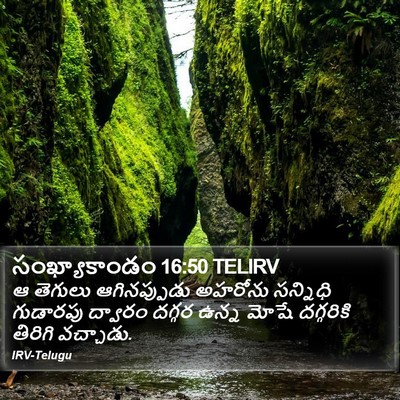సంఖ్యాకాండం 16:50 TELIRV Bible Verse Image