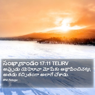 సంఖ్యాకాండం 17:11 TELIRV Bible Verse Image