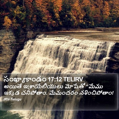 సంఖ్యాకాండం 17:12 TELIRV Bible Verse Image