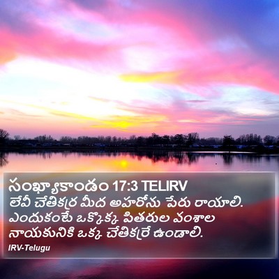 సంఖ్యాకాండం 17:3 TELIRV Bible Verse Image