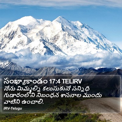సంఖ్యాకాండం 17:4 TELIRV Bible Verse Image