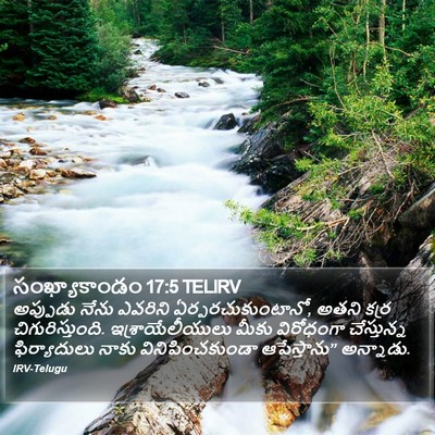 సంఖ్యాకాండం 17:5 TELIRV Bible Verse Image