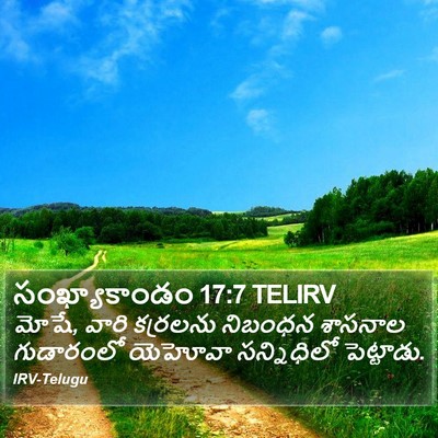 సంఖ్యాకాండం 17:7 TELIRV Bible Verse Image