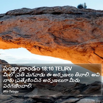 సంఖ్యాకాండం 18:10 TELIRV Bible Verse Image