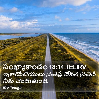 సంఖ్యాకాండం 18:14 TELIRV Bible Verse Image