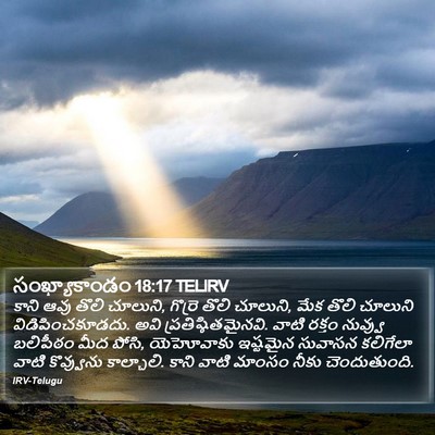 సంఖ్యాకాండం 18:17 TELIRV Bible Verse Image