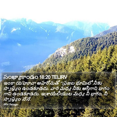 సంఖ్యాకాండం 18:20 TELIRV Bible Verse Image