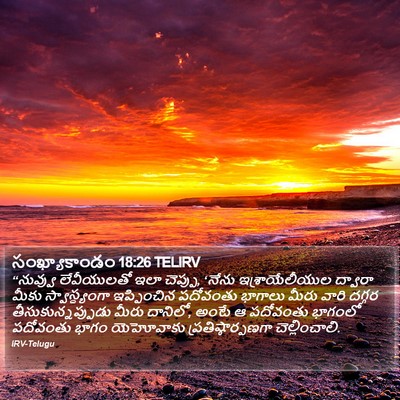 సంఖ్యాకాండం 18:26 TELIRV Bible Verse Image