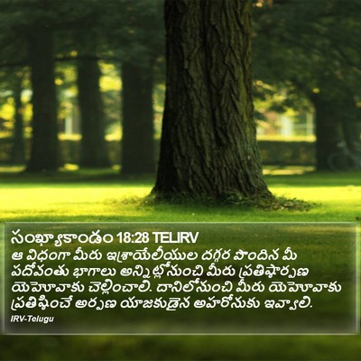సంఖ్యాకాండం 18:28 TELIRV Bible Verse Image