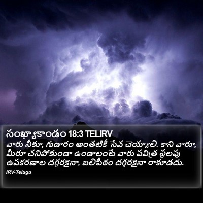 సంఖ్యాకాండం 18:3 TELIRV Bible Verse Image