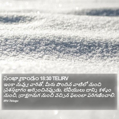 సంఖ్యాకాండం 18:30 TELIRV Bible Verse Image