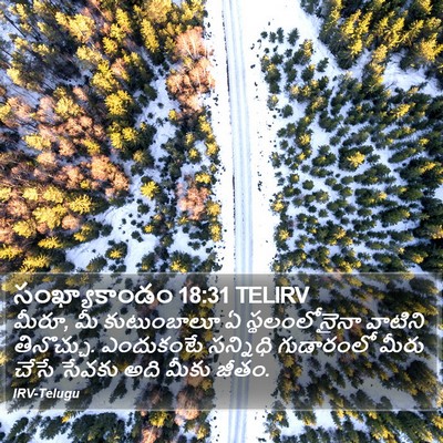 సంఖ్యాకాండం 18:31 TELIRV Bible Verse Image