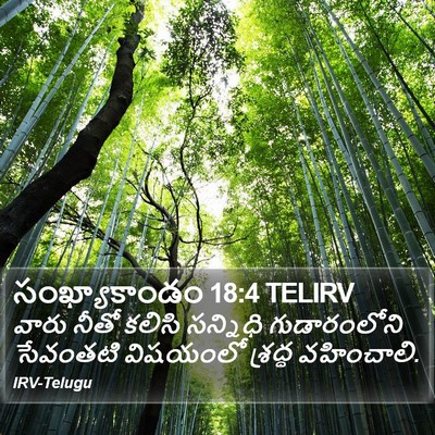 సంఖ్యాకాండం 18:4 TELIRV Bible Verse Image