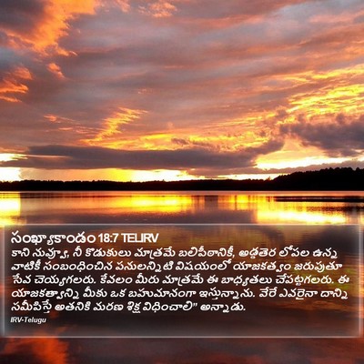 సంఖ్యాకాండం 18:7 TELIRV Bible Verse Image