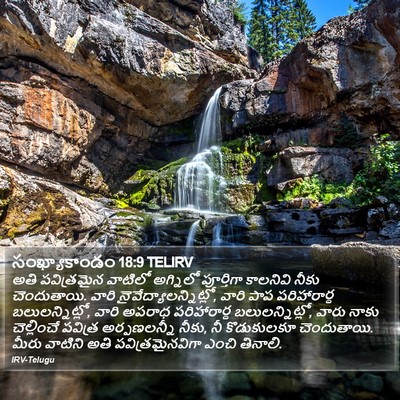 సంఖ్యాకాండం 18:9 TELIRV Bible Verse Image