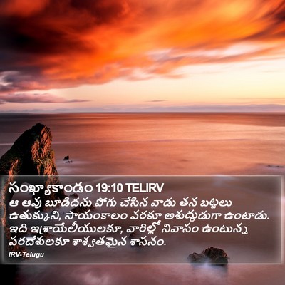 సంఖ్యాకాండం 19:10 TELIRV Bible Verse Image