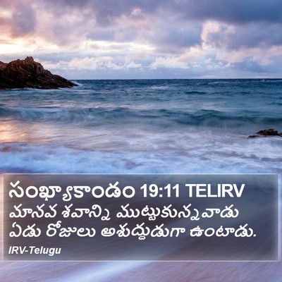 సంఖ్యాకాండం 19:11 TELIRV Bible Verse Image