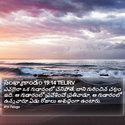 సంఖ్యాకాండం 19:14 TELIRV Bible Verse Image