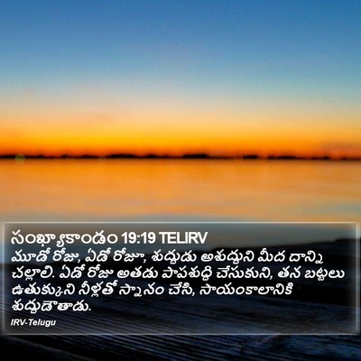 సంఖ్యాకాండం 19:19 TELIRV Bible Verse Image