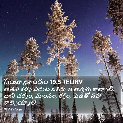 సంఖ్యాకాండం 19:5 TELIRV Bible Verse Image