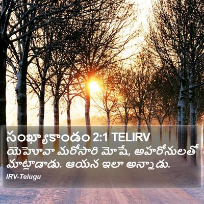 సంఖ్యాకాండం 2:1 TELIRV Bible Verse Image