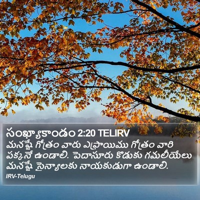 సంఖ్యాకాండం 2:20 TELIRV Bible Verse Image