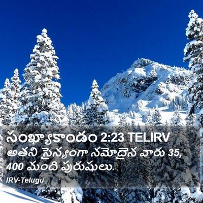 సంఖ్యాకాండం 2:23 TELIRV Bible Verse Image