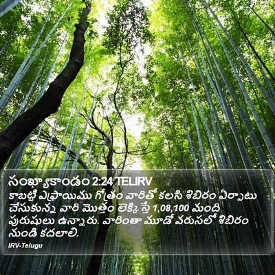 సంఖ్యాకాండం 2:24 TELIRV Bible Verse Image