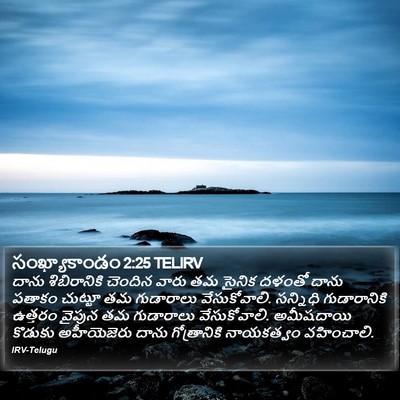 సంఖ్యాకాండం 2:25 TELIRV Bible Verse Image