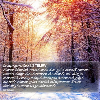 సంఖ్యాకాండం 2:3 TELIRV Bible Verse Image