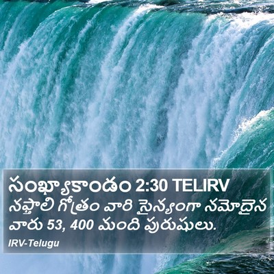 సంఖ్యాకాండం 2:30 TELIRV Bible Verse Image