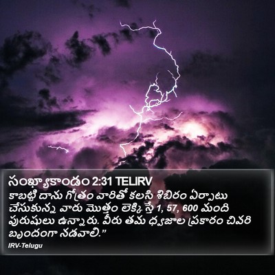 సంఖ్యాకాండం 2:31 TELIRV Bible Verse Image