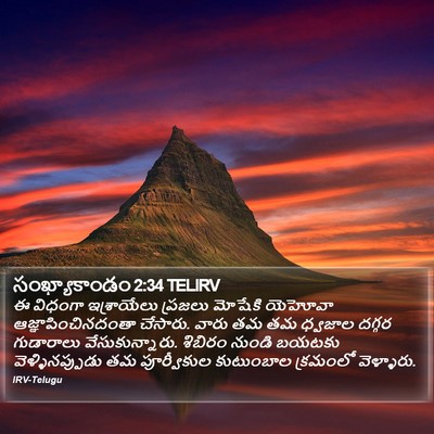 సంఖ్యాకాండం 2:34 TELIRV Bible Verse Image