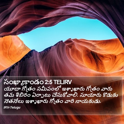 సంఖ్యాకాండం 2:5 TELIRV Bible Verse Image