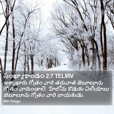 సంఖ్యాకాండం 2:7 TELIRV Bible Verse Image