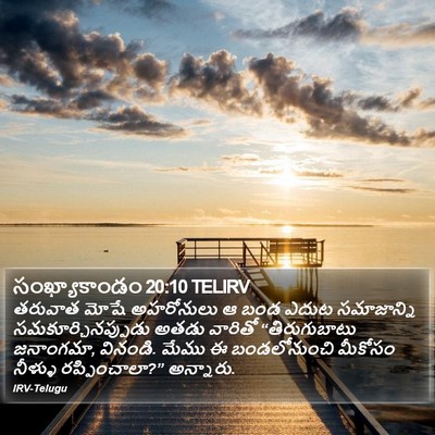 సంఖ్యాకాండం 20:10 TELIRV Bible Verse Image
