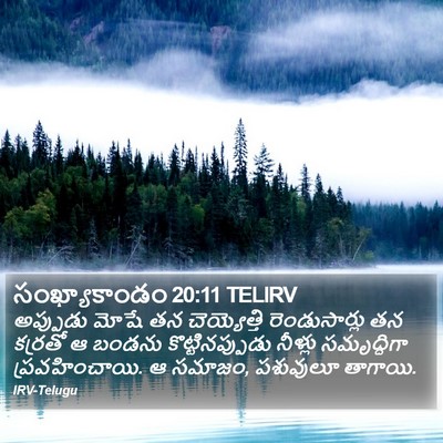 సంఖ్యాకాండం 20:11 TELIRV Bible Verse Image
